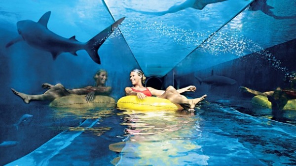 aquarium water park