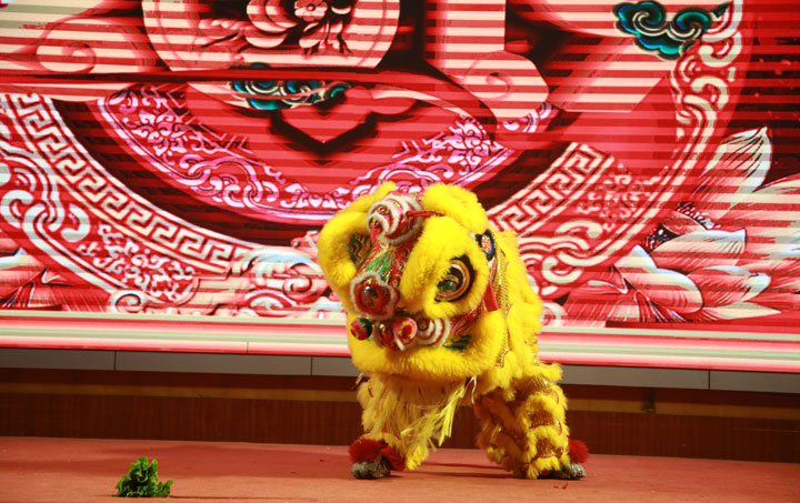 2019 annual party lion dance