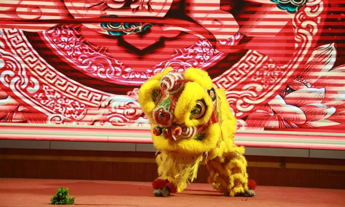 2019 annual party lion dance
